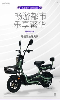 Vehículo eléctrico con llave de control remoto para dos personas bicicleta eléctrica nueva batería coche