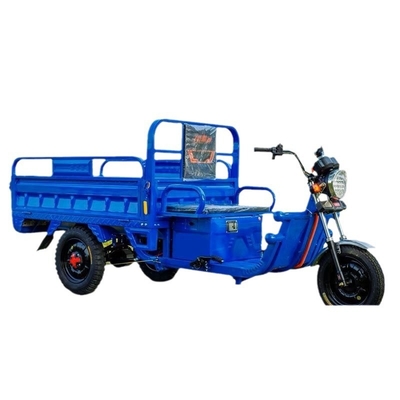 TRICÍCULO ELÉCTRICO CAMION LOAD WANG NUEVO ESTÁNDAR NACIONAL ELÉCTRICO CAR EXPRESS CAR STALL TRICÍCULO Vehículo agrícola GRATIS