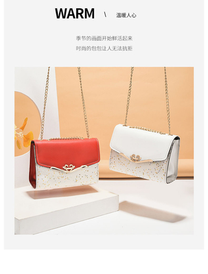 2024 NUEVO BOLSO DE MUJERES DIAGONAL Moda versión coreana de la bolsa de bolso de mujer todo el bolso de hombro