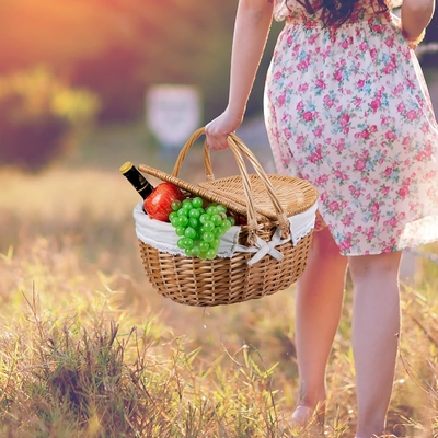 Cesta de picnic con tapa y mango cuerpo tejido resistente con revestimiento lavable para Pascua, Día de la Madre, Camping al aire libre
