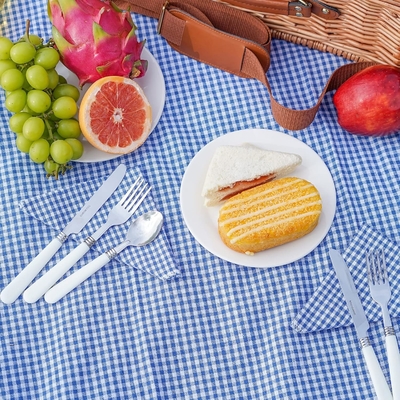 Cesta de picnic con tapa y mango cuerpo tejido resistente con revestimiento lavable para Pascua, Día de la Madre, Camping al aire libre
