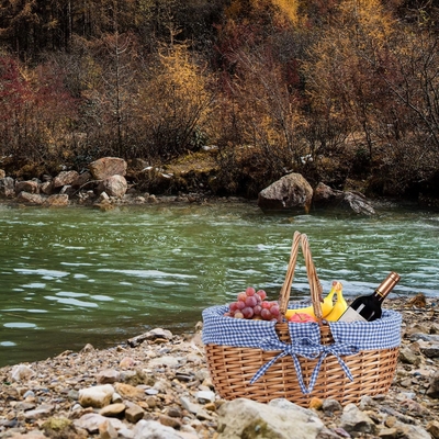G GOOD GAIN Cesta de picnic de vaso con doble mango plegable, Cesta de picnic Willow, Cesta de Pascua tejida a mano natural,