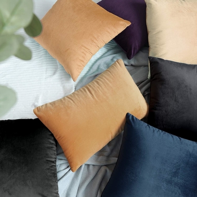 NTBAY 2 paquete de fundas de almohada de terciopelo con cremallera, súper suave y acogedora lujosa fundas de almohada de flanela con cremallera, 20x36