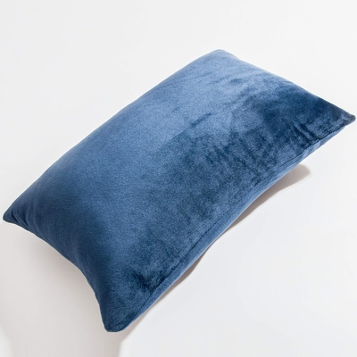 NTBAY 2 paquete de fundas de almohada de terciopelo con cremallera, súper suave y acogedora lujosa fundas de almohada de flanela con cremallera, 20x36