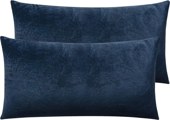 NTBAY 2 paquete de fundas de almohada de terciopelo con cremallera, súper suave y acogedora lujosa fundas de almohada de flanela con cremallera, 20x36