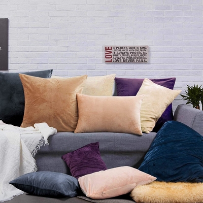 NTBAY 2 paquete de fundas de almohada de terciopelo con cremallera, súper suave y acogedora lujosa fundas de almohada de flanela con cremallera, 20x36
