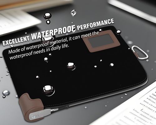 Bolsa de efectivo, Bolsa de notario con cerradura, 2 llaves, Bolsa impermeable para documentos, Bolsa de dinero con cremallera, 11.7 x 8.3 pulgadas, Bolsas para depósitos y cartera de viaje para proteger pasaporte, efectivo, cheques, tarjetas de crédito