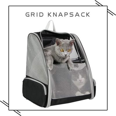 Mochilas transportadoras innovadoras para mascotas, tipo burbuja, para gatos y perros, mochila para gatos