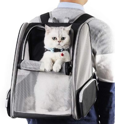 Mochilas transportadoras innovadoras para mascotas, tipo burbuja, para gatos y perros, mochila para gatos